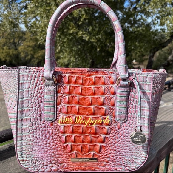 NWT  Brahmin Ashlee FLIRTY Ombre Melbourne Satchel/Crossbody - Picture 1 of 16